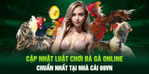 Cập Nhật Luật Chơi Đá Gà Online Chuẩn Nhất Tại Nhà Cái 69VN Cập Nhật Luật Chơi Đá Gà Online Chuẩn Nhất Tại Nhà Cái 69VN